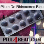 Pilule De Rhinocéros Bleu 30